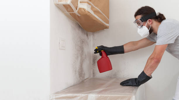Professional Crawl Space Mold Removal technician working in Lebanon, VA