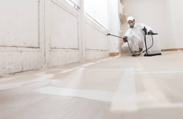 24/7 Emergency Crawl Space Mold Removal experts in Lebanon, VA