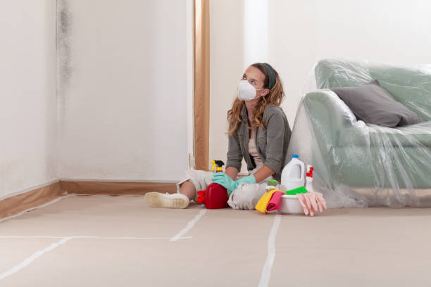 Reliable Crawl Space Mold Removal contractor in Lebanon, VA by WQB Mold Removal