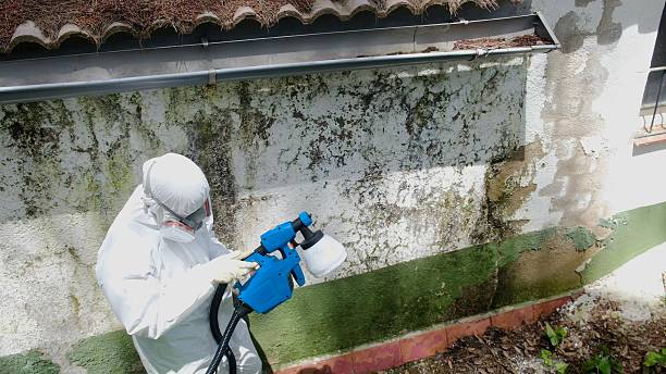 Top rated local Crawl Space Mold Removal specialists in Lebanon, VA